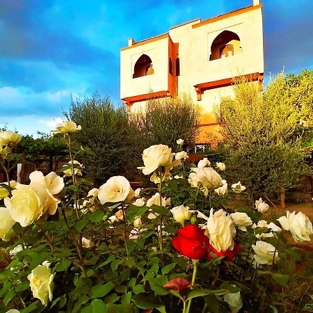 Riad Tazawa Ibrahene المظهر الخارجي الصورة