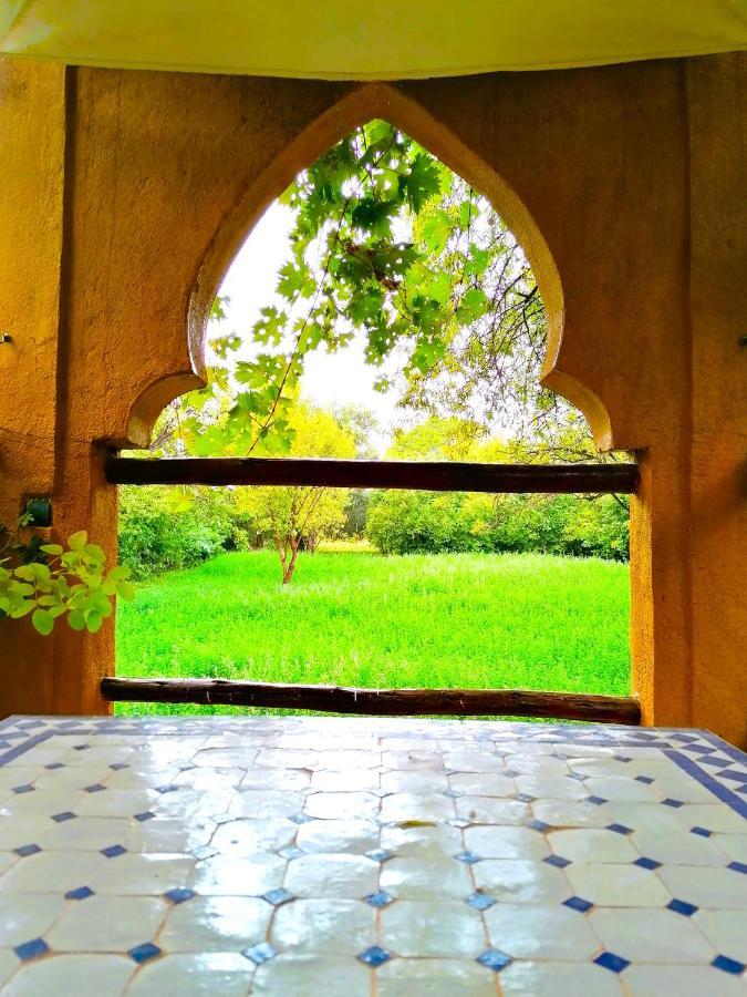 Riad Tazawa Ibrahene المظهر الخارجي الصورة